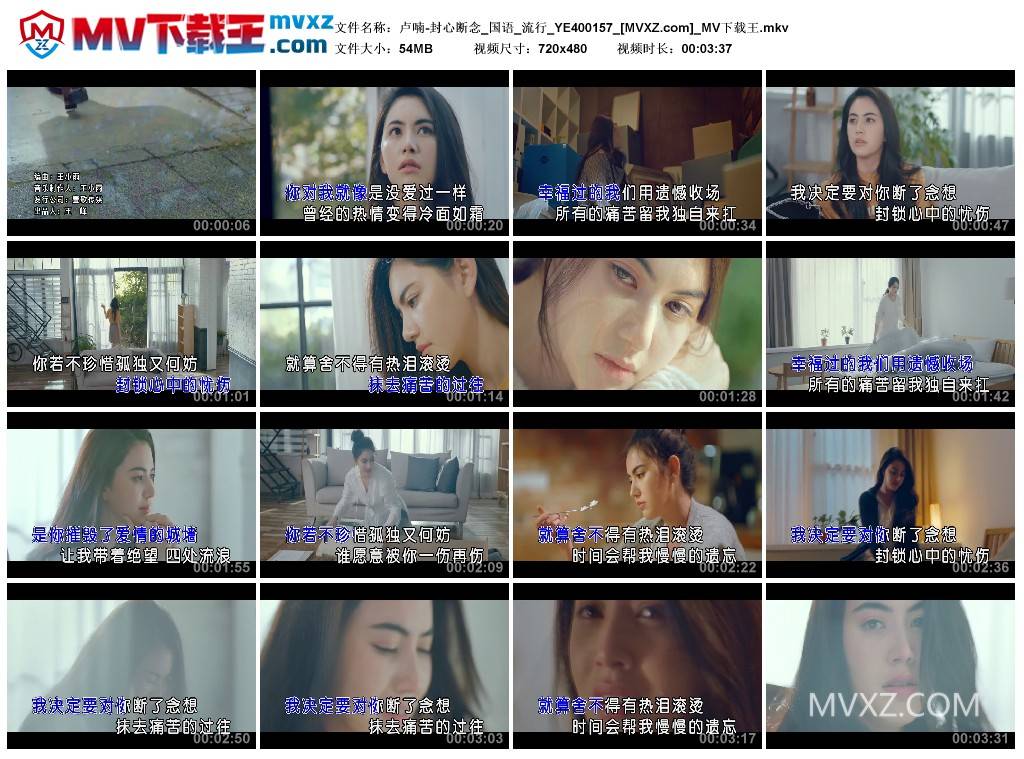 卢喃-封心断念_国语_流行_YE400157
